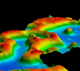 sea floor